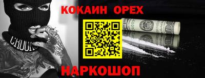 гашик Сланцы