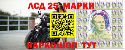 гашик Сланцы