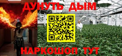 гашик Сланцы