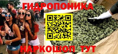эйфоретик Славгород