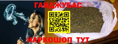 гашик Сланцы
